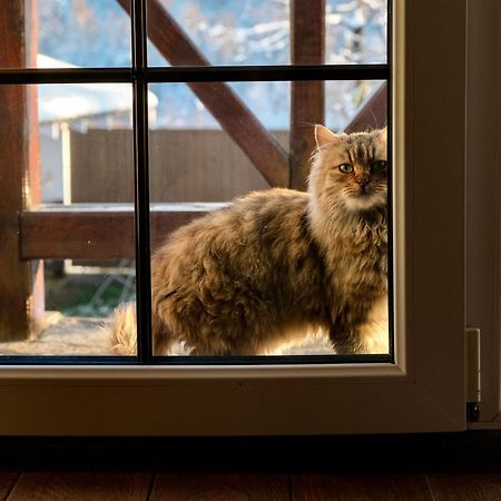 Мигово Гражда Villa Exteriör bild